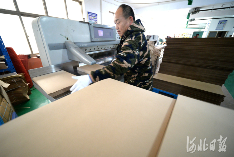 河北平乡:党建引领促发展