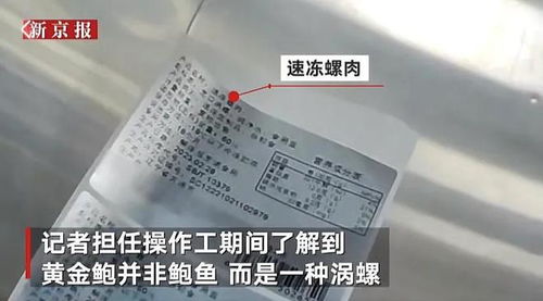 315曝光 大连某海产品加工厂,这样的海参鲍鱼谁敢吃